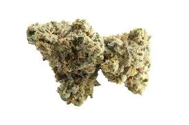Citrus - Cremig - Benzin