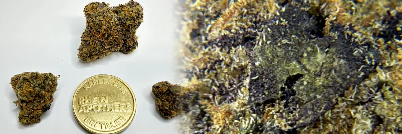 Magic Gum Drops – Süß - Kaugummi - Diesel