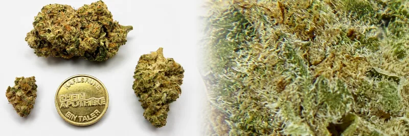 Minty Cookies – Cremig - Kräuter - Pfeffer