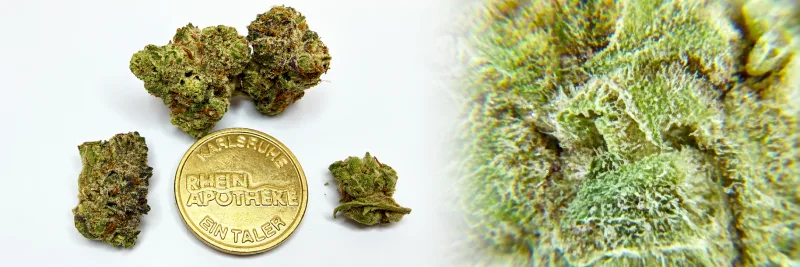 Purple Planet – Beere - Blumen - Diesel